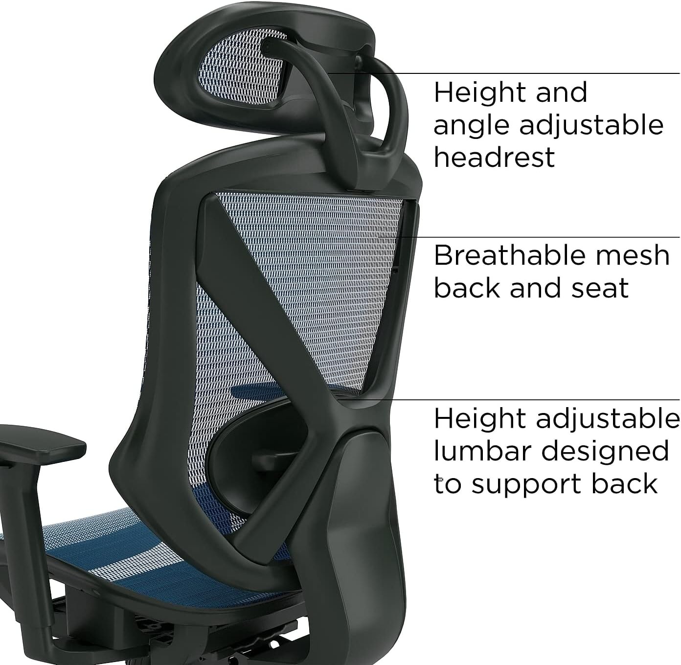 image:imageStaples Dexley Ergonomic Task Chair Mesh Ergonomic Lumbar Support Adjustable Height BlackBlue