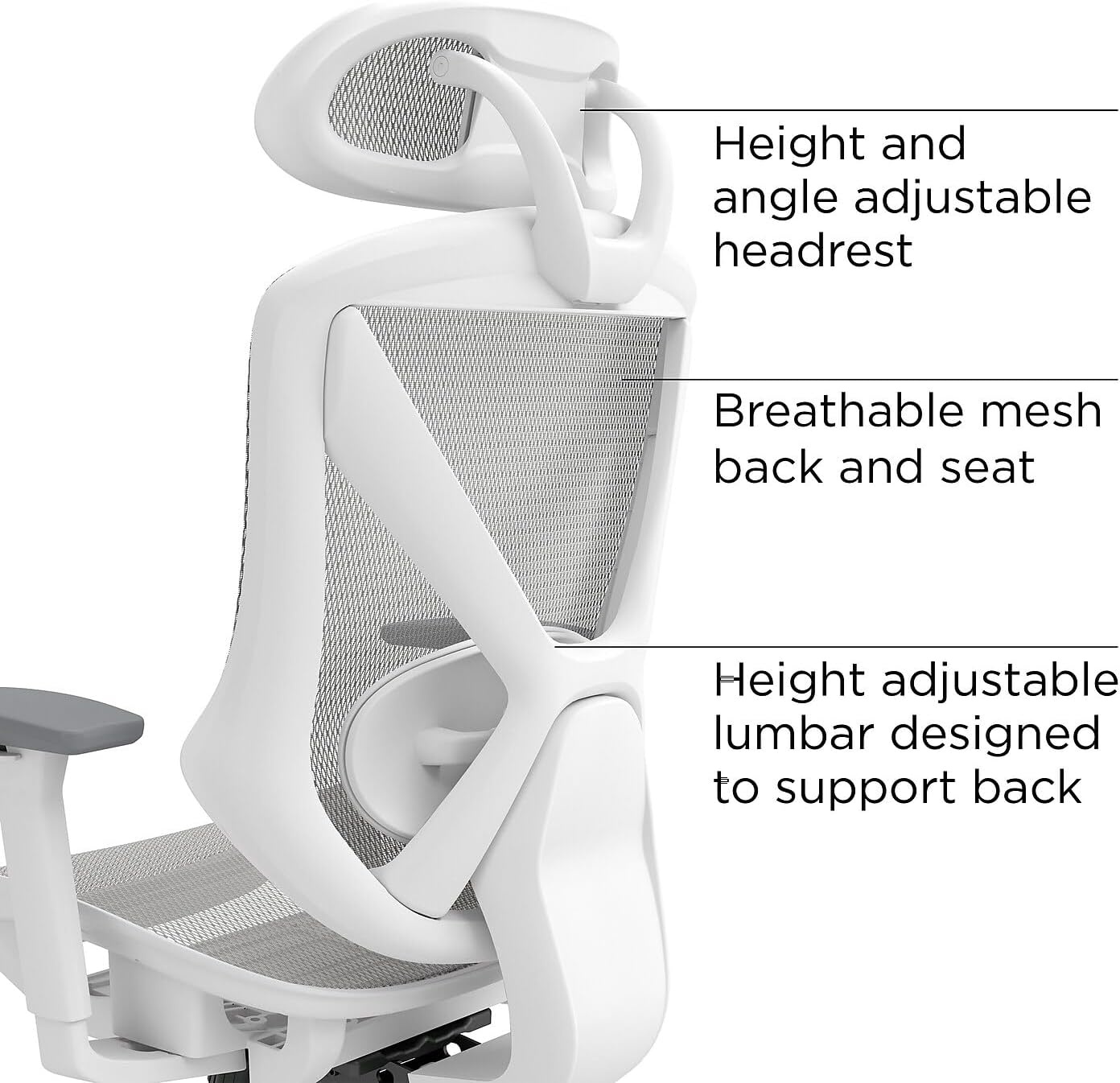 image:imageStaples Dexley Ergonomic Task Chair Mesh Ergonomic Lumbar Support Adjustable Height BlackGrey