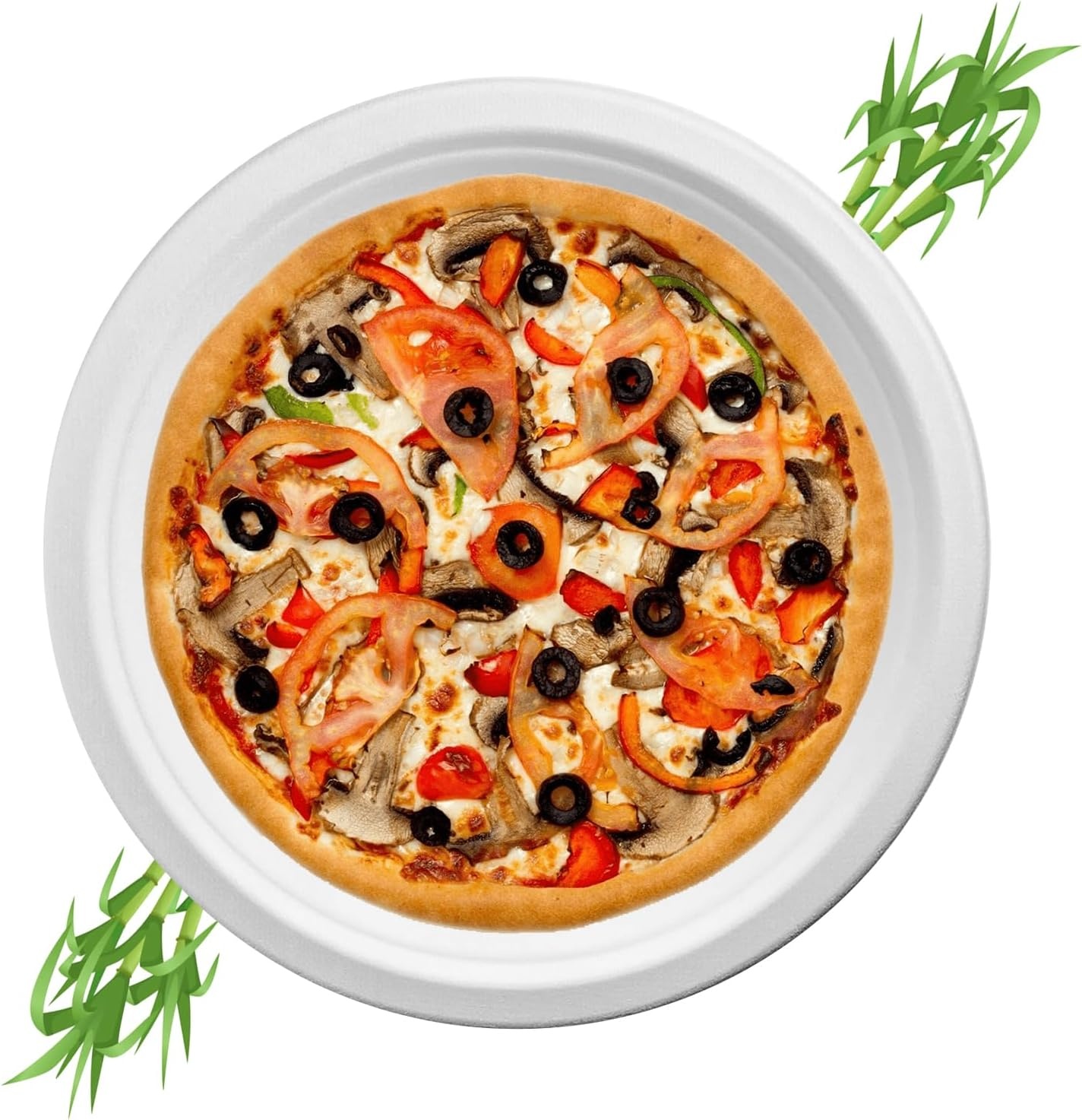 image:imageStaples Perk Eco 9 Inch Paper Plates 250 Count Bulk Disposable Plates for Everyday Meals Parties amp Events