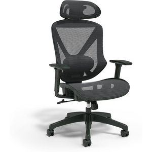 Staples Dexley Ergonomic Task Chair, Mesh, Ergonomic, Lumbar Support, Adjustable Height, Black(Black)
