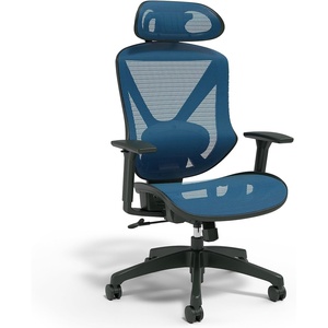 Staples Dexley Ergonomic Task Chair, Mesh, Ergonomic, Lumbar Support, Adjustable Height, Black(Blue)