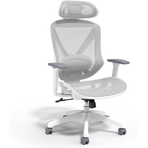 Staples Dexley Ergonomic Task Chair, Mesh, Ergonomic, Lumbar Support, Adjustable Height, Black(Grey)